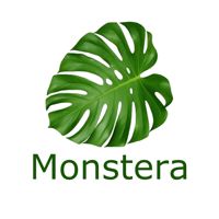 Monstera — уход tokio inkarami в городе Бугры