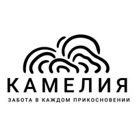 Студия массажа КАМЕЛИЯ — rf-лифтинг в городе Шадринск