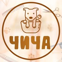 ЧиЧа Студия груминга — груминг пуделя в Самаре