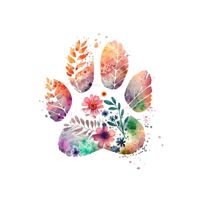 Happy animals — груминг пуделя в Обнинске