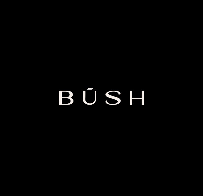 BUSH.lab Проспект Маркса 12/1