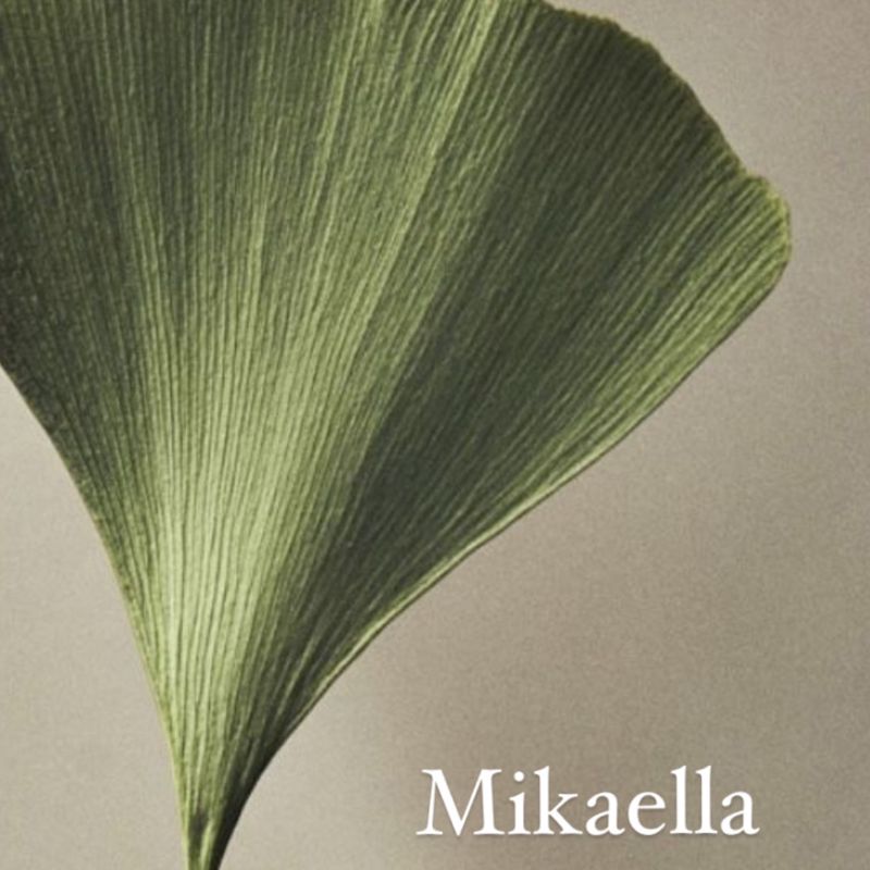 Mikaella Hair Art Studio