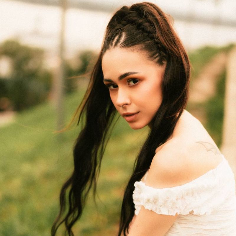 BRAID.VI