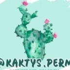 Кактус Пермь — LPG массаж в Перми
