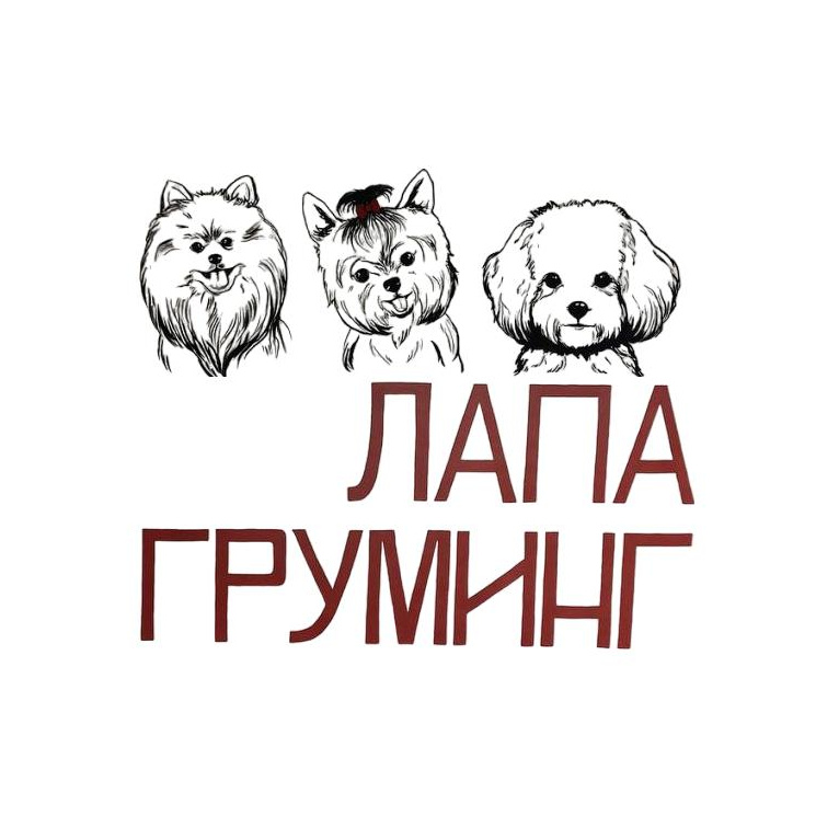 Лапа Груминг