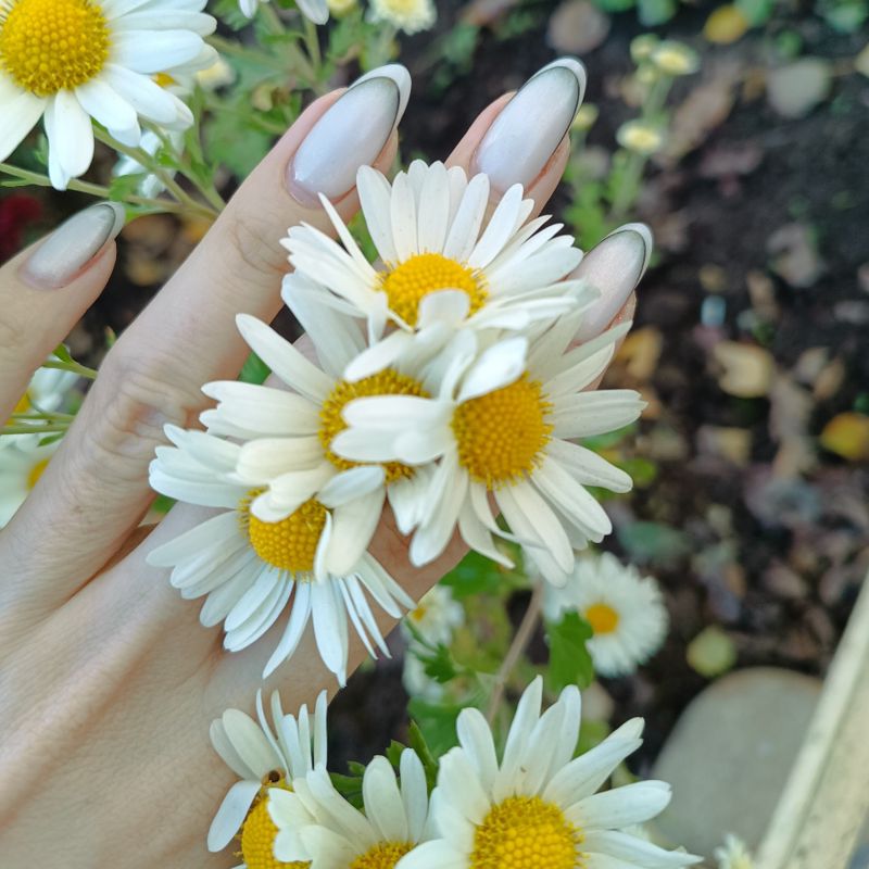 Кабинет ногтевого сервиса