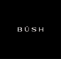 BUSH.lab Кошурникова 22/2 — тонирование в Новосибирске