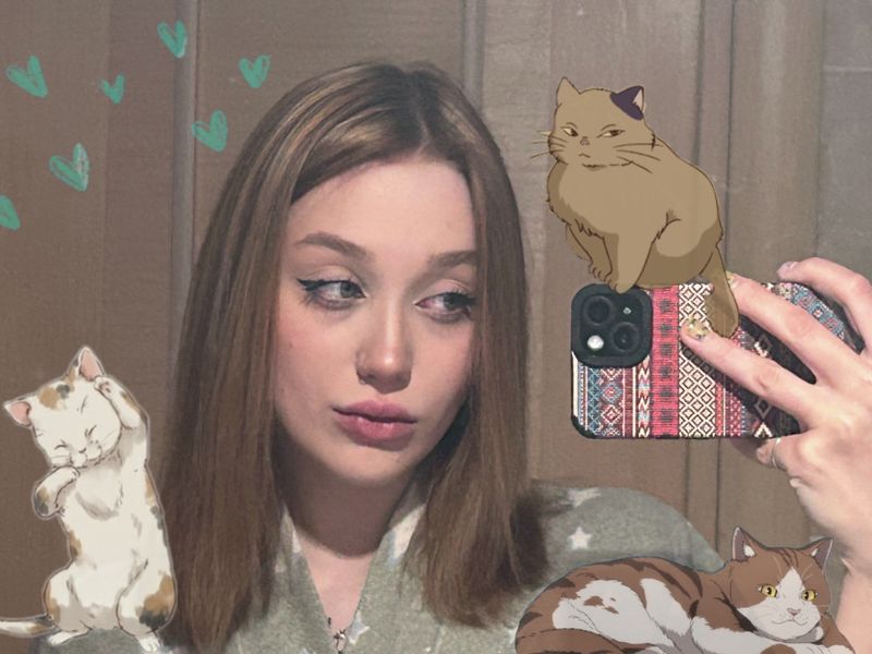 Кошкин Дом
