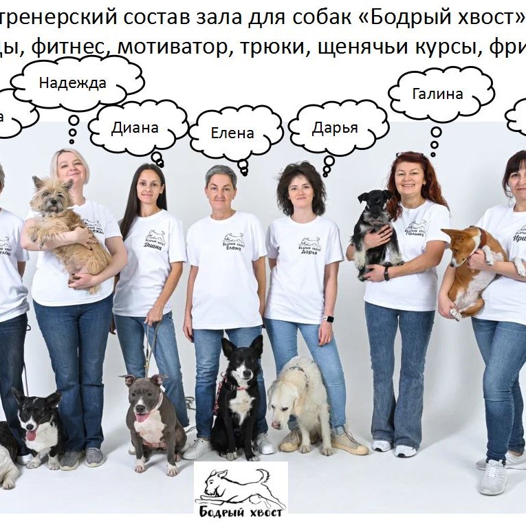 Бодрый Хвост