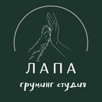 Студия груминга ЛАПА — груминг пуделя в Туле
