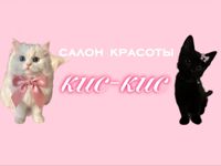 кис кис -салон красоты — биозавивка в Иркутске