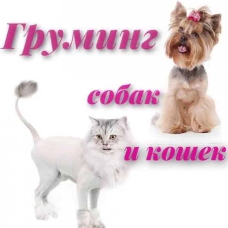 Ирена Бейбутова