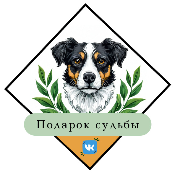 Центр льготной стерилизации &amp;quot;Подарок судьбы&amp;quot;