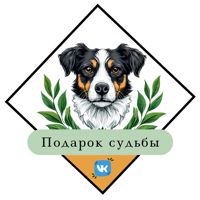 Центр льготной стерилизации "Подарок судьбы" — хамам в Ульяновске