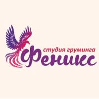студия груминга "Феникс" — дизайн ногтей в городе Благовещенск