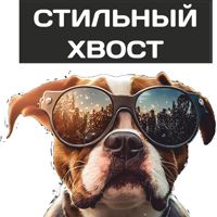 Стильный хвост — груминг мейн-куна в Екатеринбурге