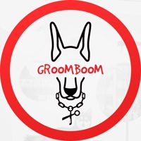 GroomBoom — груминг пуделя в Нижневартовске
