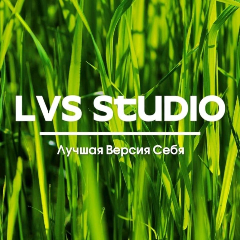 LVS Лучшая версия себя