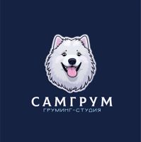Груминг-студия САМГРУМ — груминг пуделя в Самаре