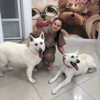 «Груминг сити» Зоя — детский массаж в городе Брэст