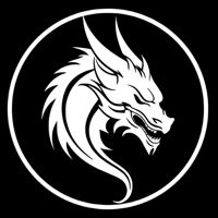 Dragon Performance — плетение кос в городе Благовещенск