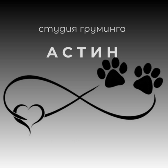 Студия груминга Астин