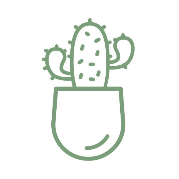 CACTUS beauty studio