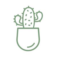 CACTUS beauty studio — восковая депиляция в Кирове