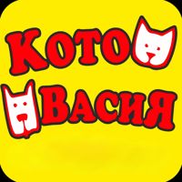 Зоосалон "КотоВасия", Бардина, 21а — груминг мейн-куна в Екатеринбурге