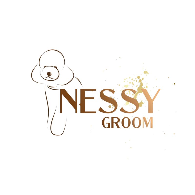 Nessy Groom
