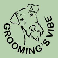 Grooming's Vibe — груминг пуделя в Рязани