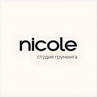 Nicole — груминг пуделя в Вологде