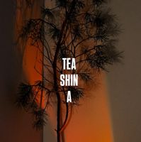 ТИШИНА (teashina) — спа-массаж в Красноярске