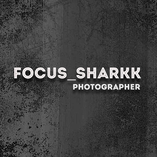 FOCUS_SHARKK