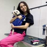 Ксения — груминг пуделя в Томске