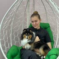 Валерия — груминг пуделя в городе Новочеркасск