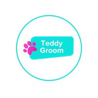 TeddyGroom — груминг мейн-куна в Екатеринбурге