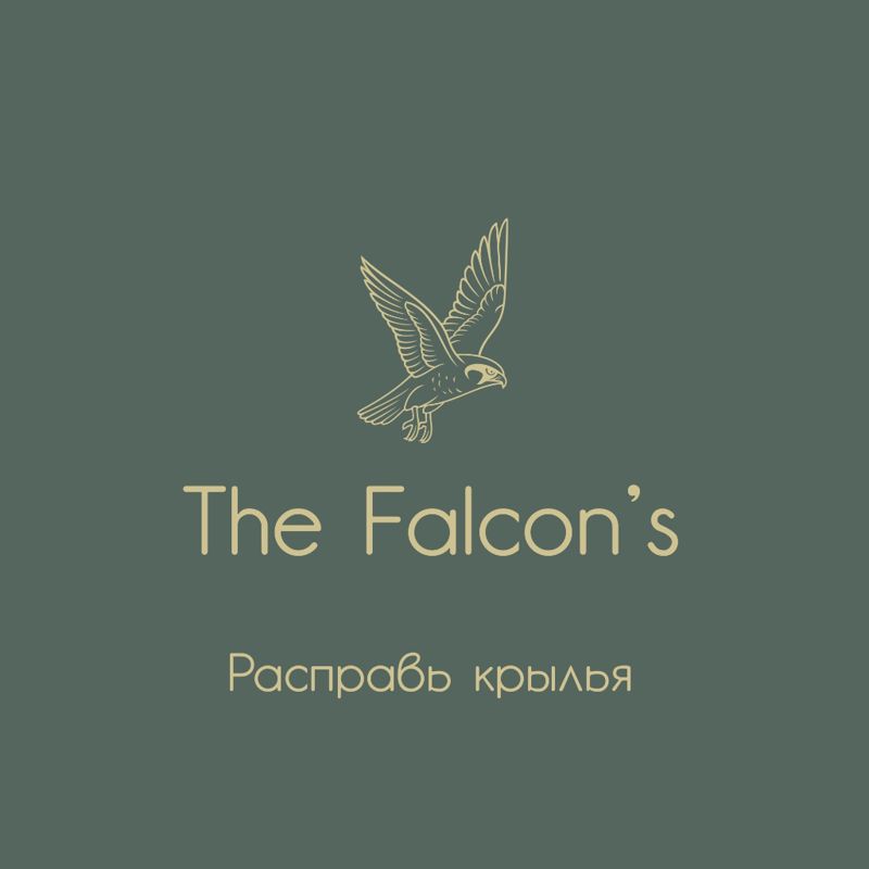 The Falcon's