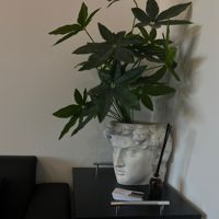 Individual Place — тонирование бороды и усов в Перми