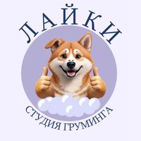 Студия груминга "Лайки" — бритьё бороды в городе Новочебоксарск