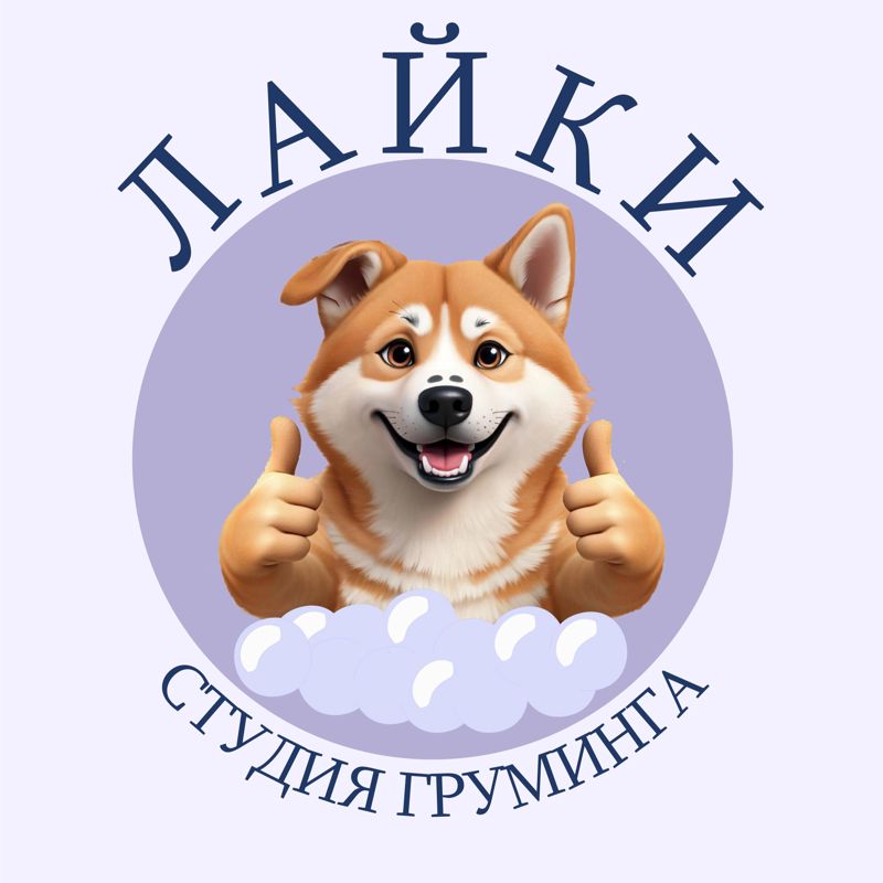Студия груминга "Лайки"