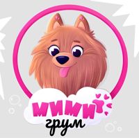 МиМи грум | студия груминга Марины Шибаевой — груминг пуделя в Костроме