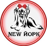 Груминг-салон «New Йорк» — уход за лицом в Пензе