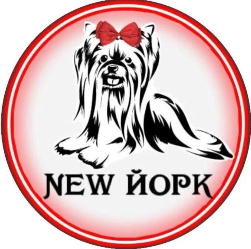 Груминг-салон «New Йорк»