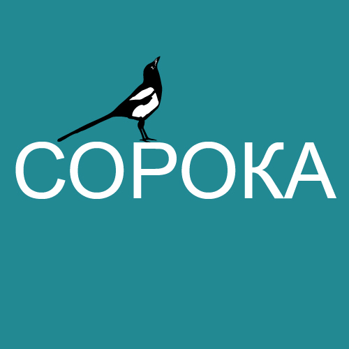 Анастасия Сорока