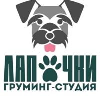 Лапочки — груминг пуделя в Белгороде