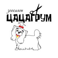 ЦАЦАГРУМ Ижевск — контурная пластика (филлеры Neocoll/Repart) в Ижевске