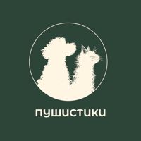 Студия груминга «Пушистики» — детский массаж в городе Надым