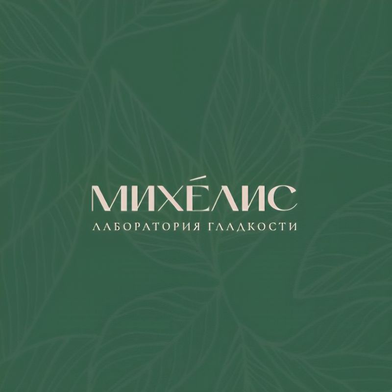 Лаборатория гладкости Михелис