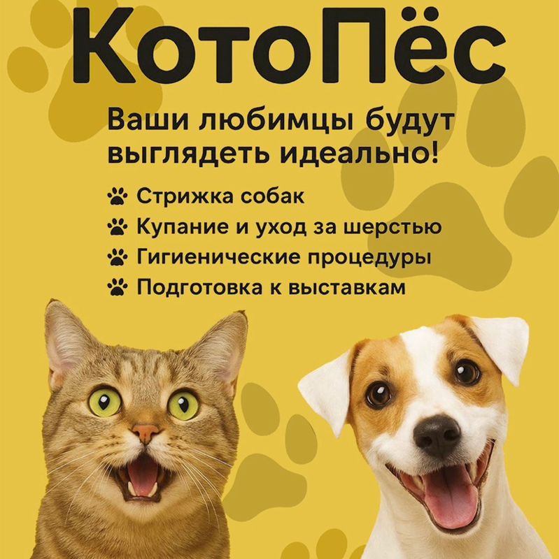 Котопес